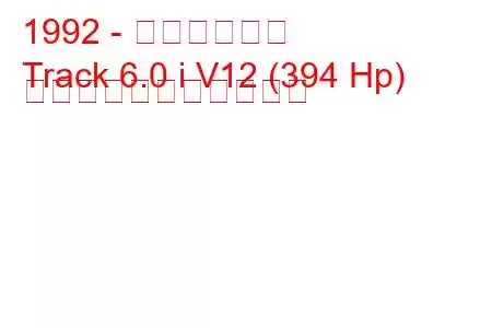 1992 - メガトラック
Track 6.0 i V12 (394 Hp) の燃料消費量と技術仕様