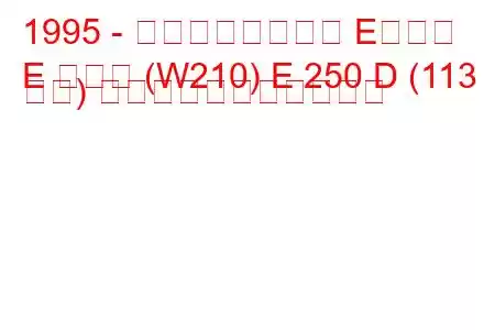 1995 - メルセデスベンツ Eクラス
E クラス (W210) E 250 D (113 馬力) の燃料消費量と技術仕様