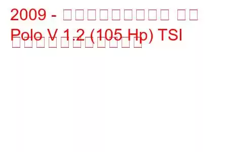 2009 - フォルクスワーゲン ポロ
Polo V 1.2 (105 Hp) TSI の燃料消費量と技術仕様