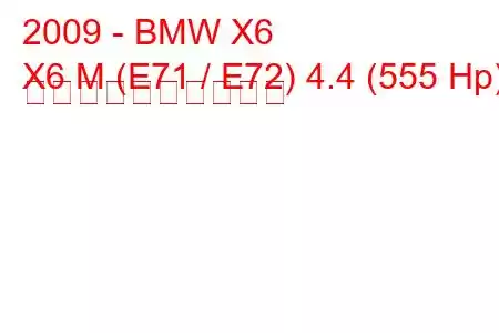 2009 - BMW X6
X6 M (E71 / E72) 4.4 (555 Hp) 燃料消費量と技術仕様