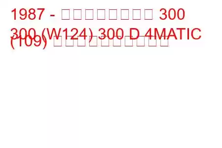 1987 - メルセデスベンツ 300
300 (W124) 300 D 4MATIC (109) 燃料消費量と技術仕様