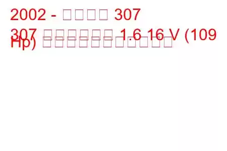 2002 - プジョー 307
307 ステーション 1.6 16 V (109 Hp) の燃料消費量と技術仕様