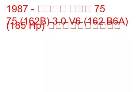 1987 - アルファ ロメオ 75
75 (162B) 3.0 V6 (162.B6A) (185 Hp) 燃料消費量と技術仕様