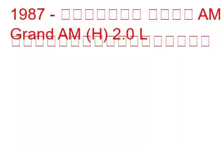 1987 - ポンティアック グランド AM
Grand AM (H) 2.0 L ターボチャージャーの燃費と技術仕様